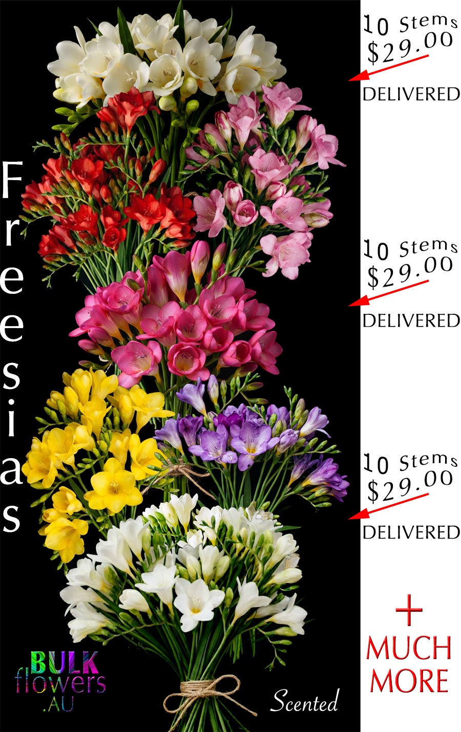 FREESIAS