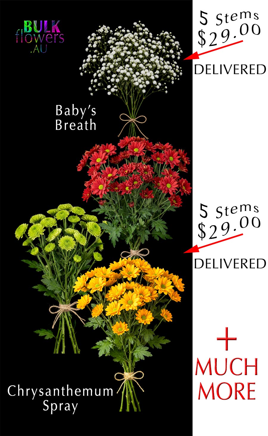 BULK FLOWERS