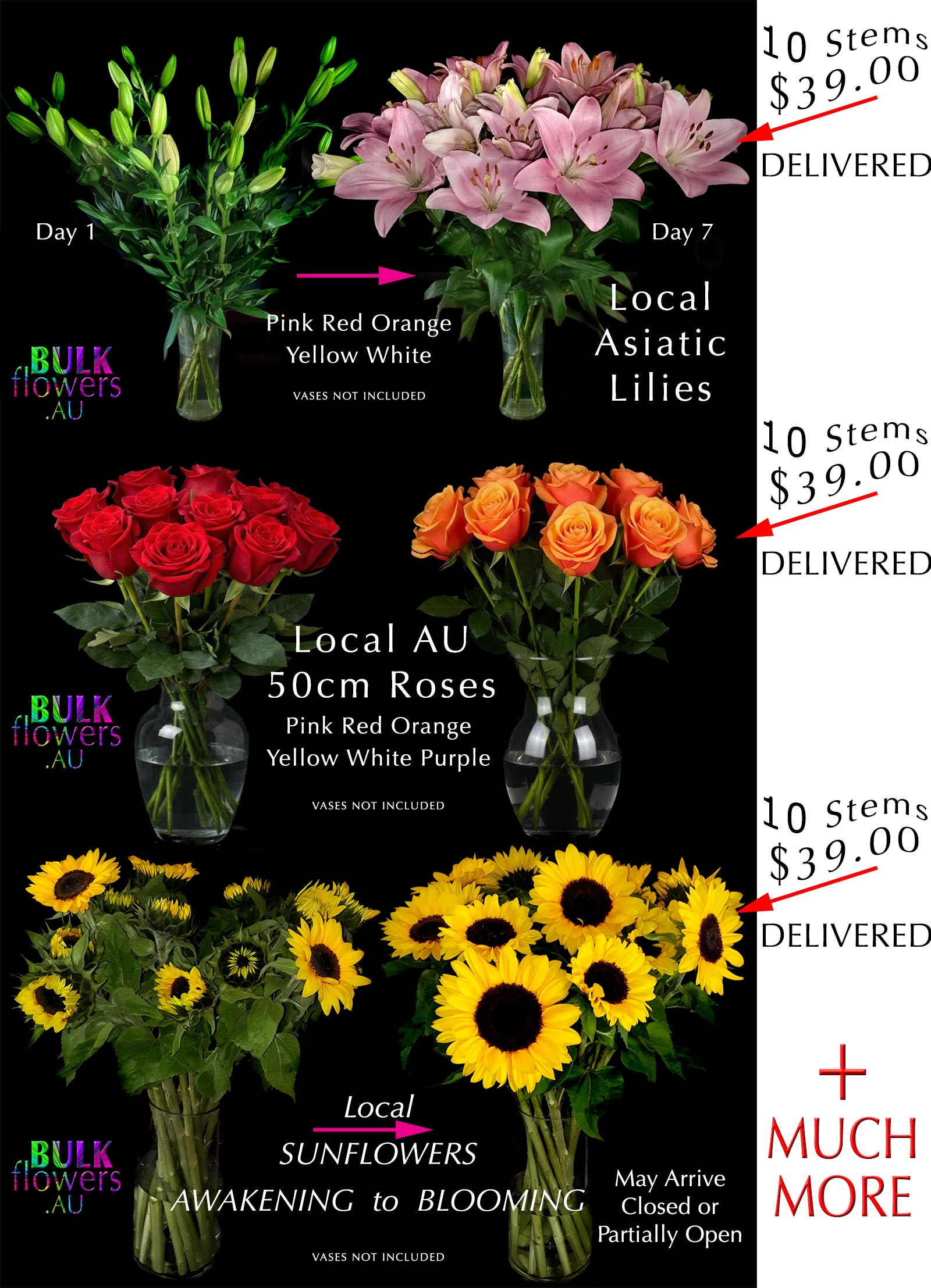 BULK FLOWERS