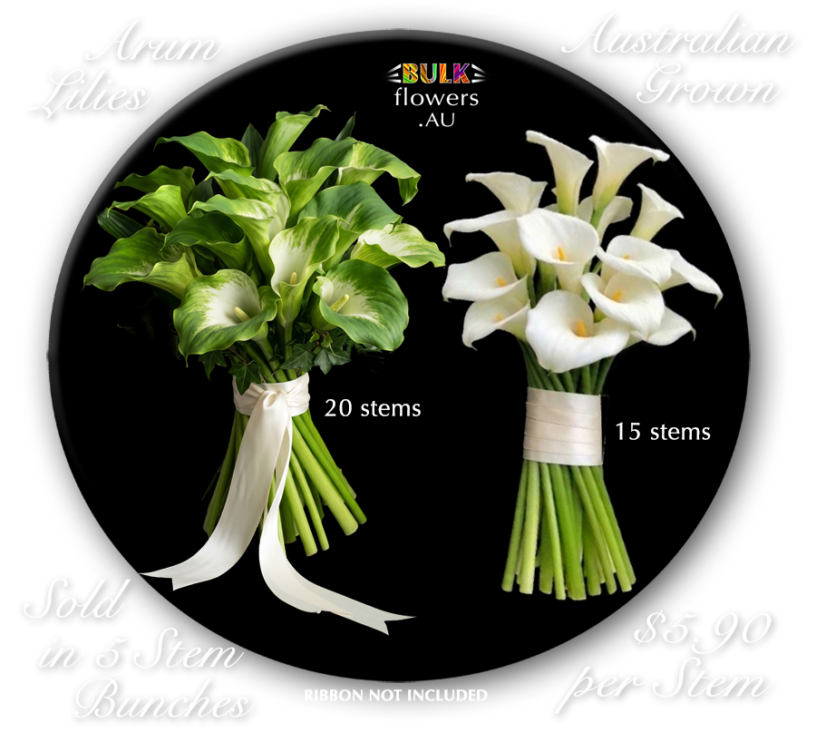 ARUM LILIES