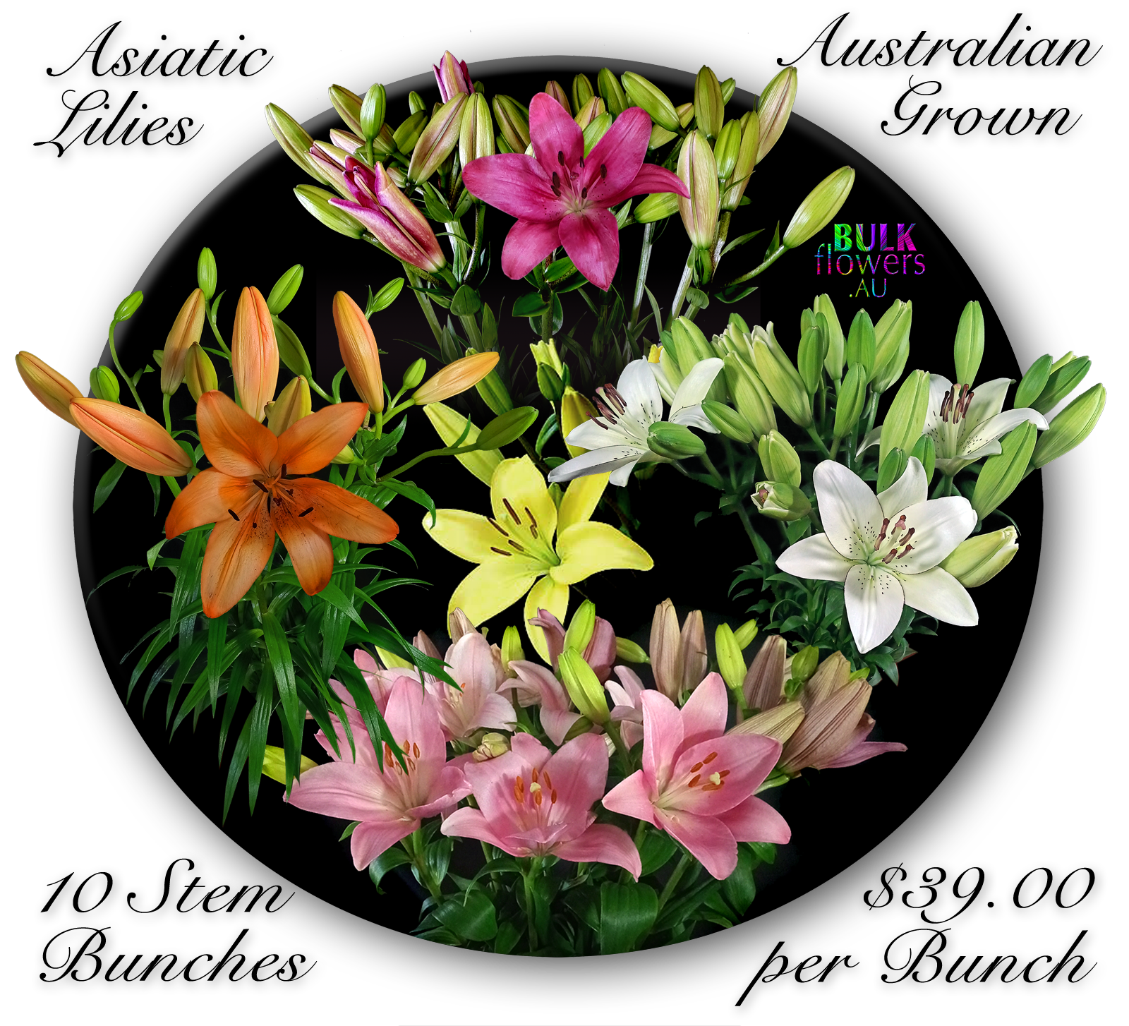 BULK FLOWERS