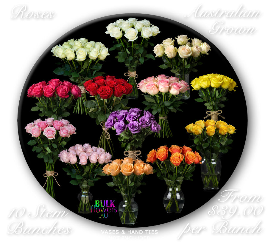 AUSTRALIAN ROSES