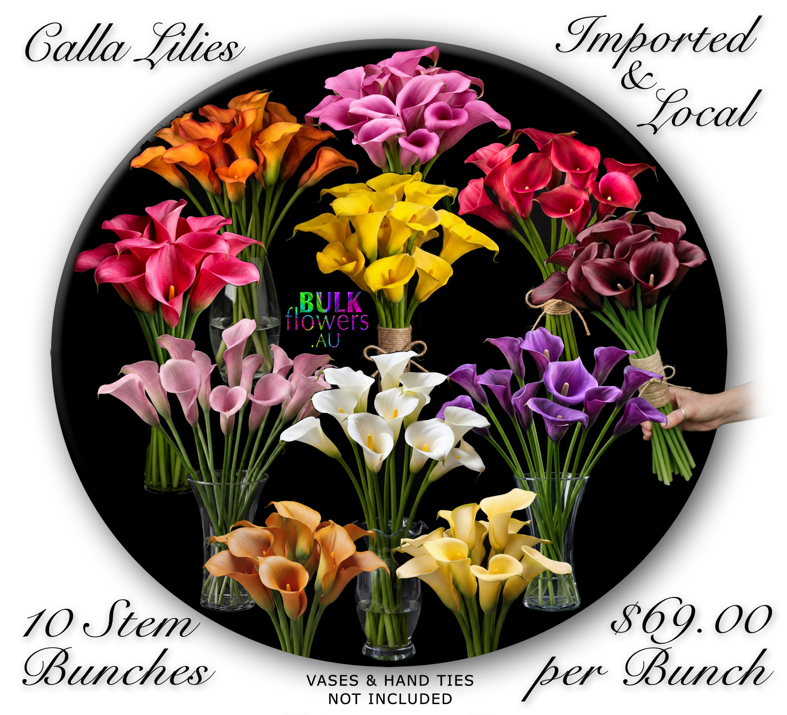 CALLA LILIES