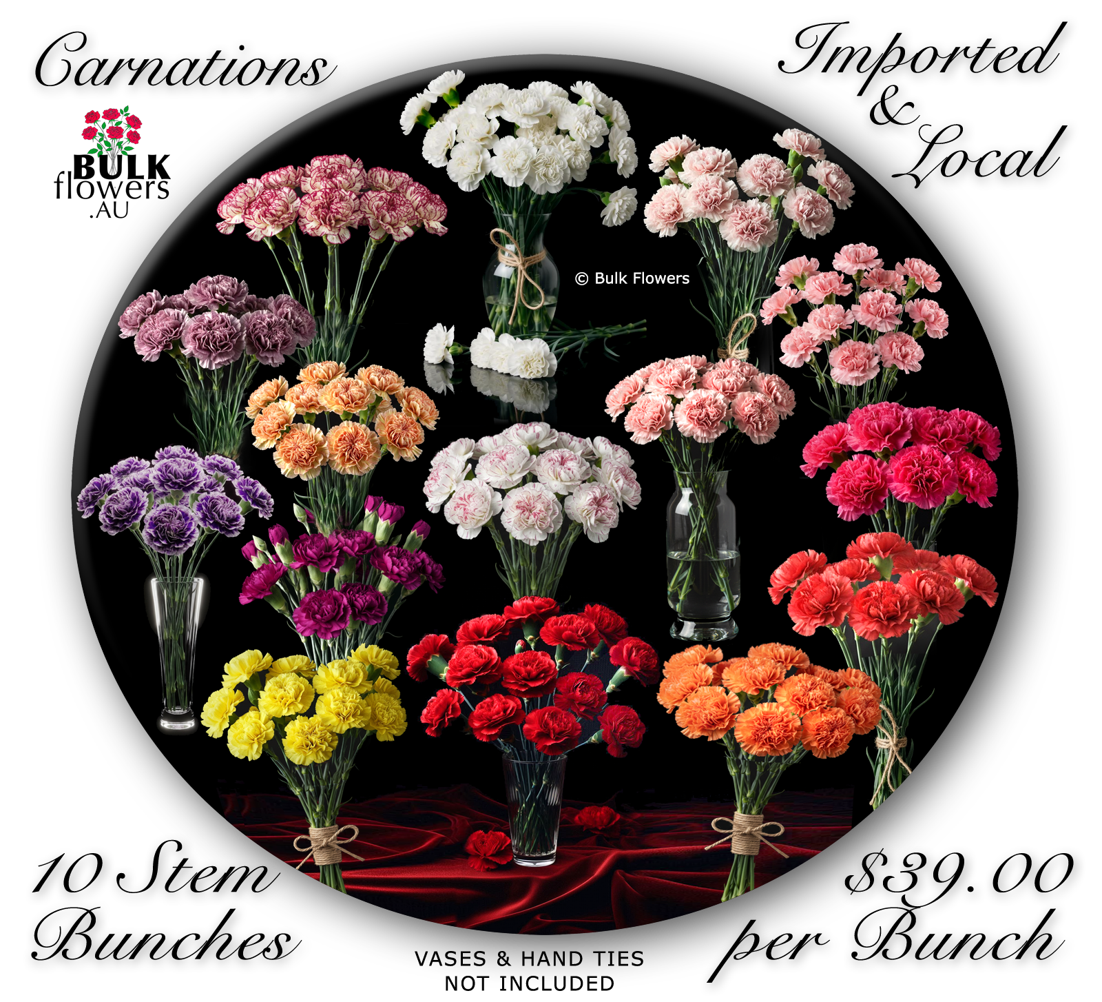 CARNATIONS