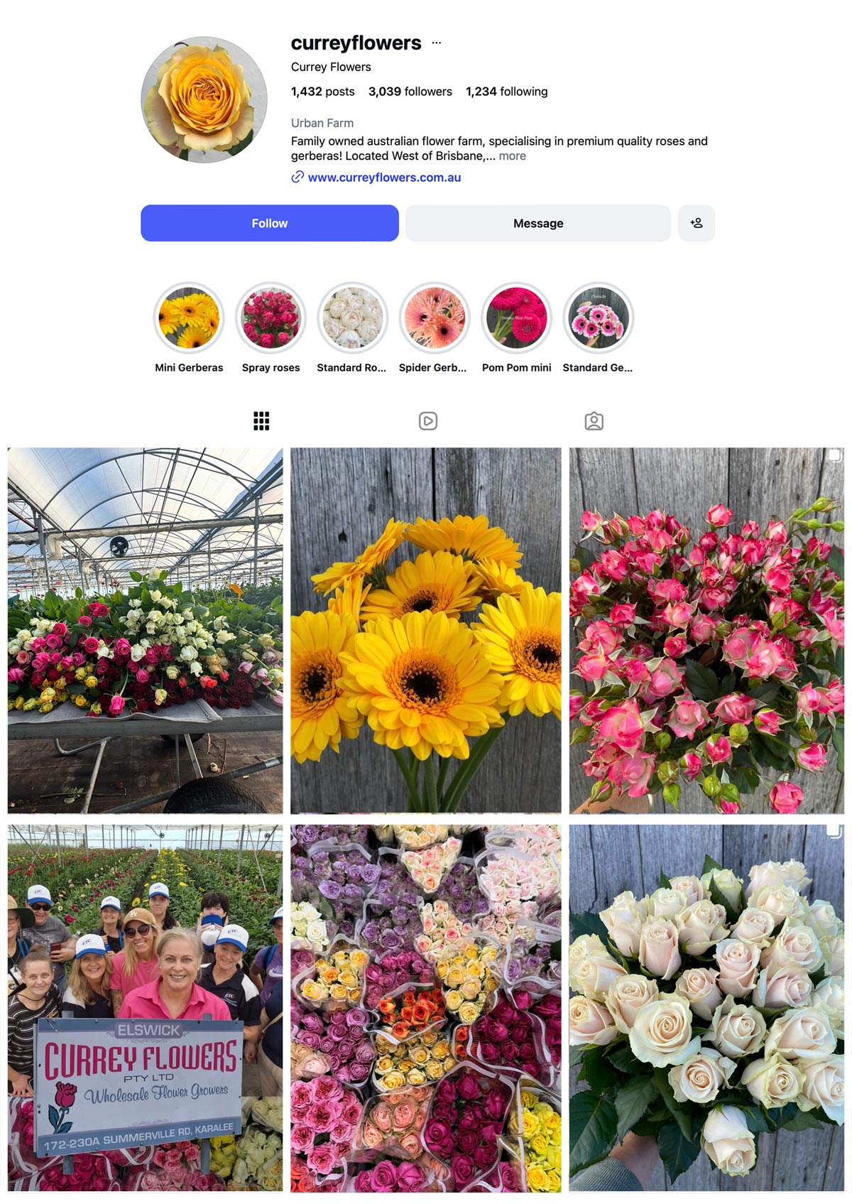 CURREY FLOWERS