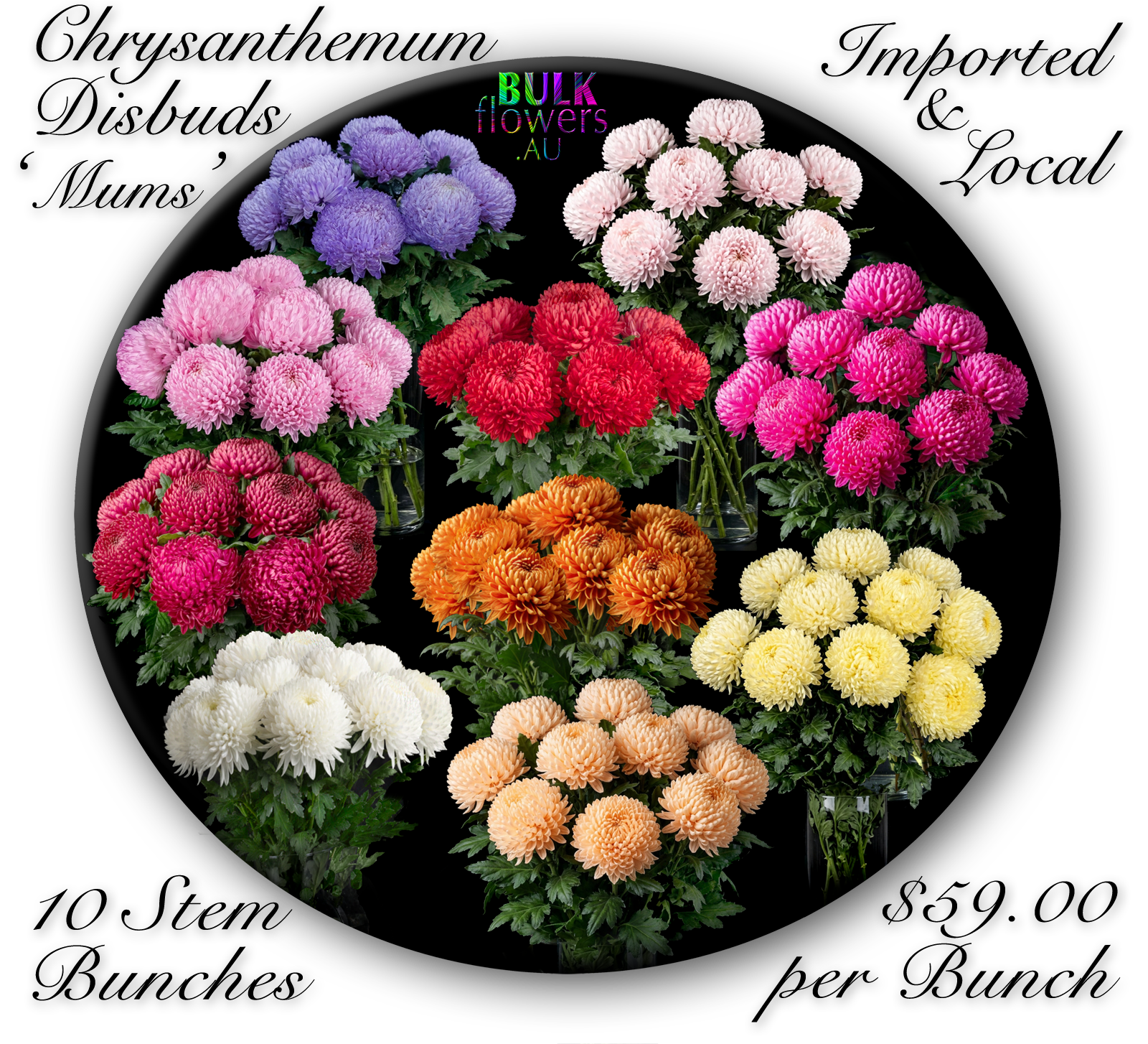 BULK FLOWERS