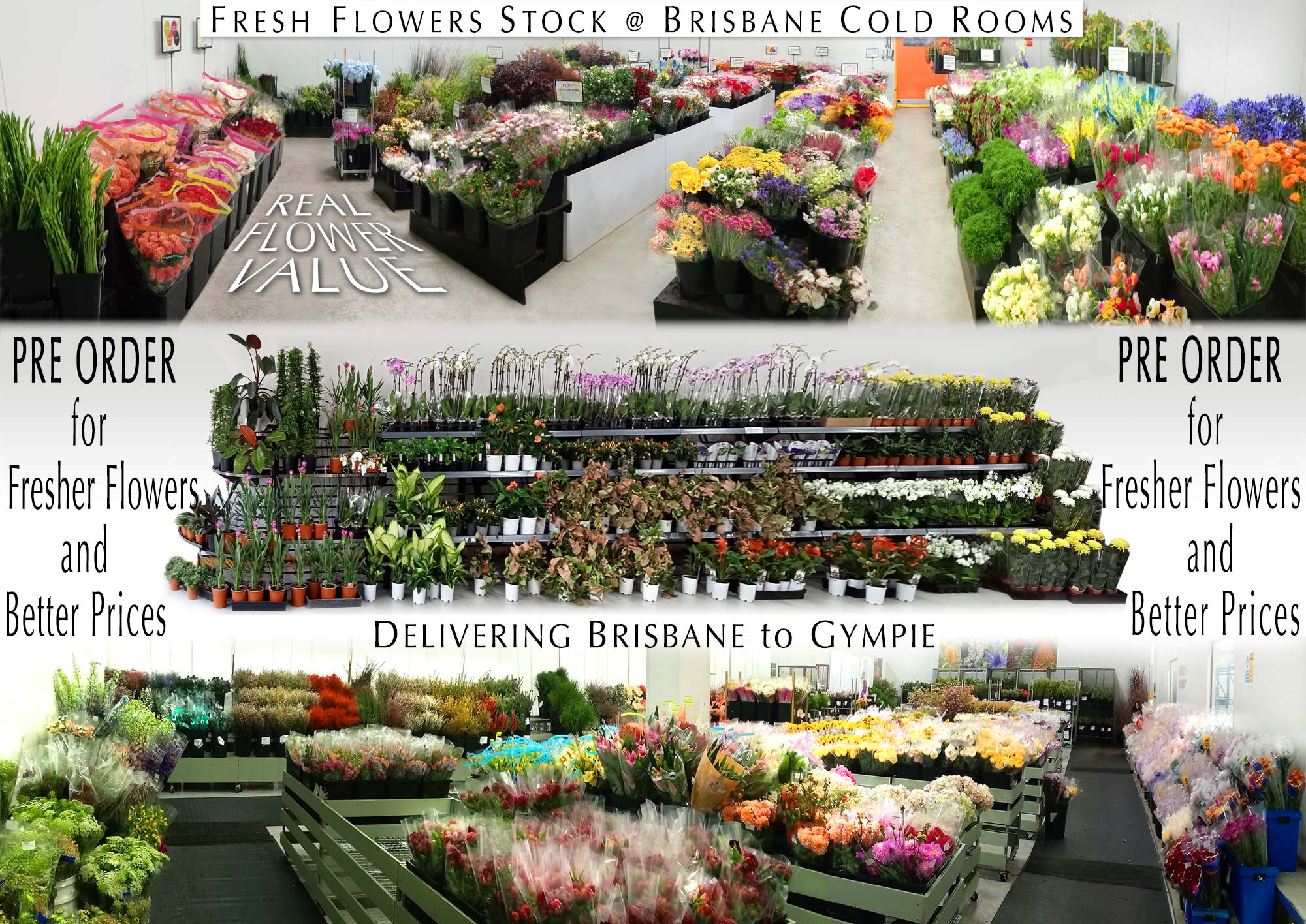 BULK FLOWERS SUPPLIER