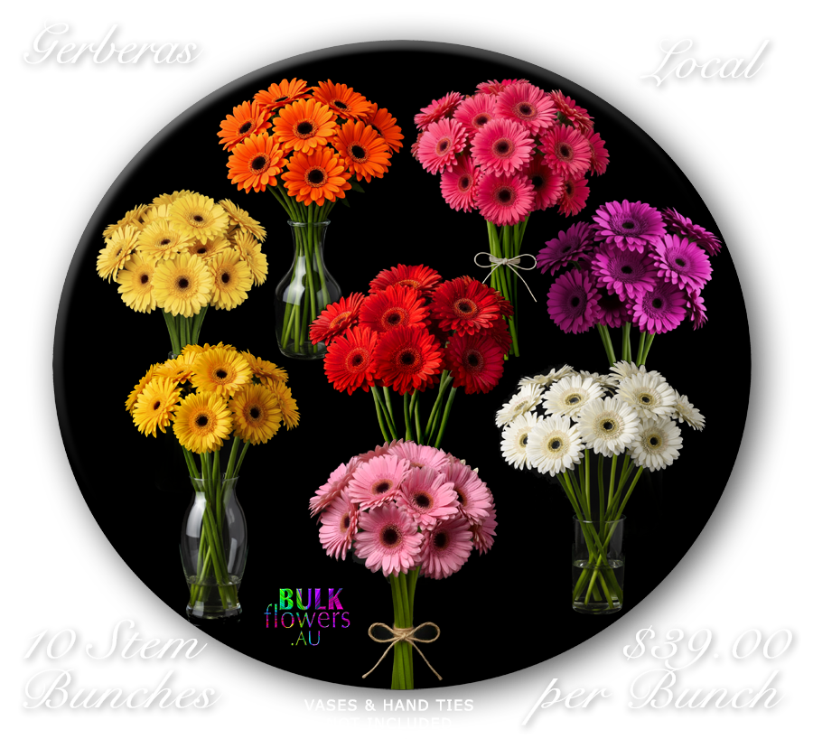 GERBERAS