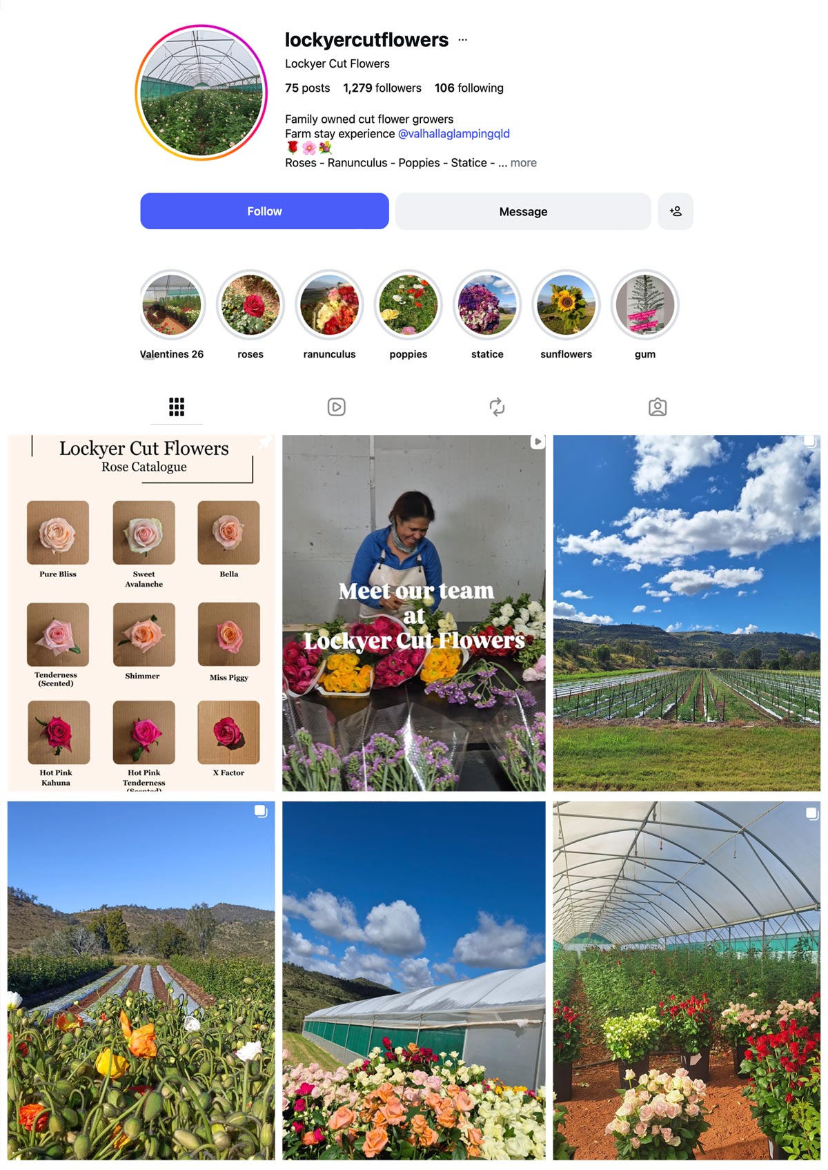 LOCKYER VALLEY FLOWERS