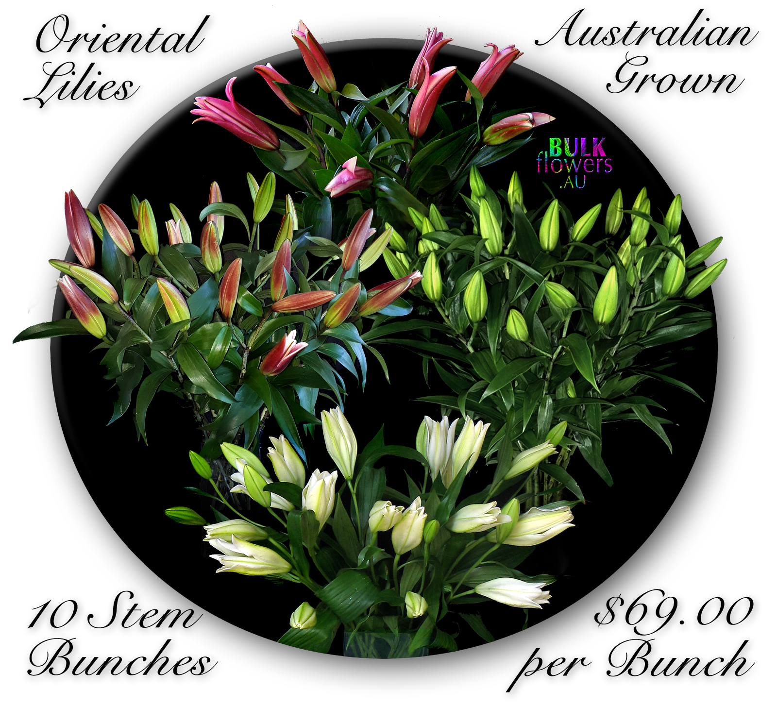 BULK FLOWERS