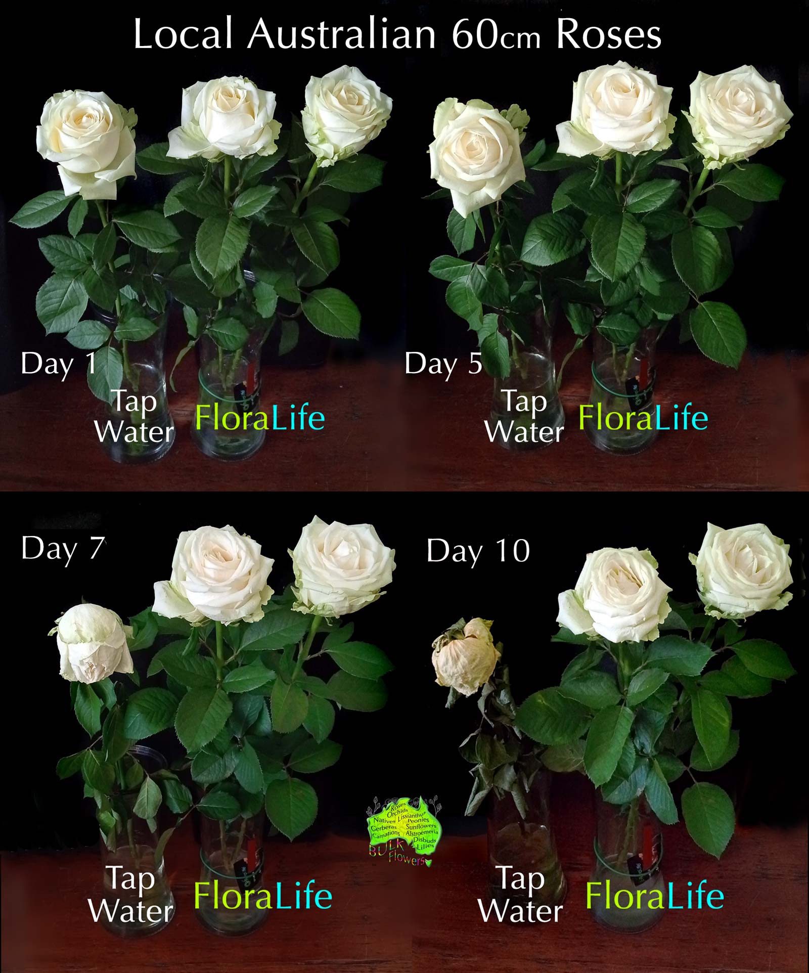 FLORALIFE