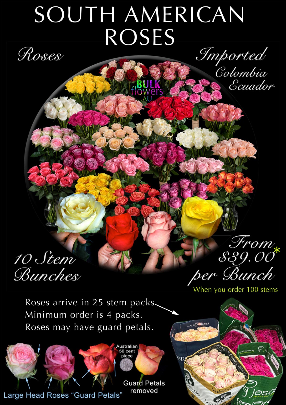 SOUTH AMERICAN ROSES