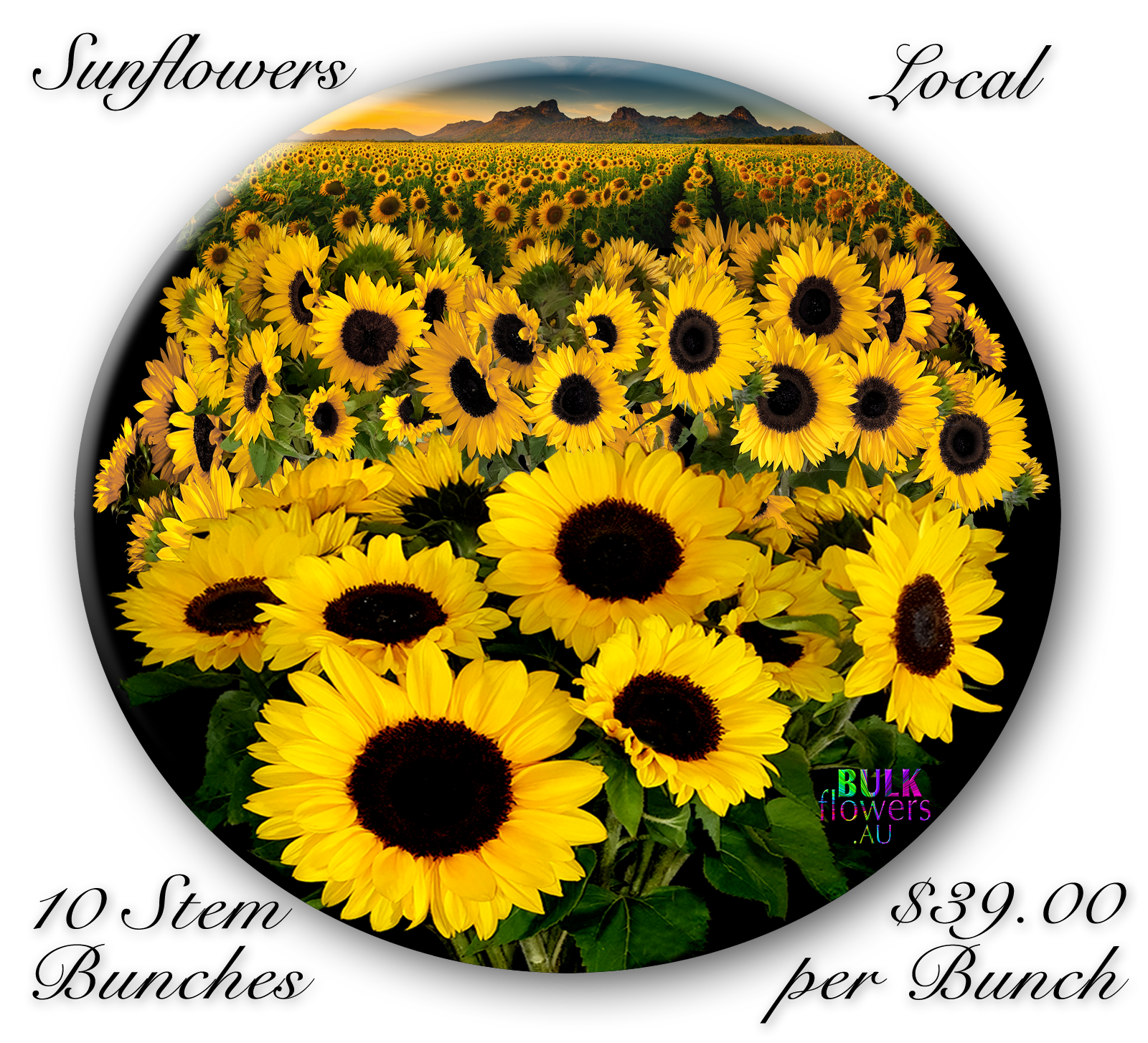 BULK FLOWERS